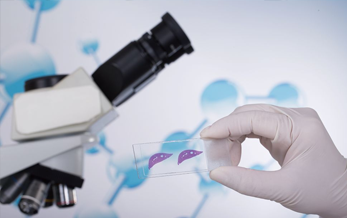 农业农村部农药检定所组织召开核糖核酸（RNA） 农药命名和登记资料要求研讨会