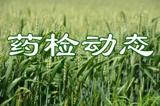 四川省召开农药生产企业禁限用农药非法 生产经营使用集中整治工作视频会